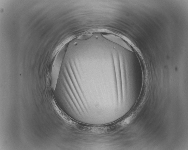 X0000053050905200508011844