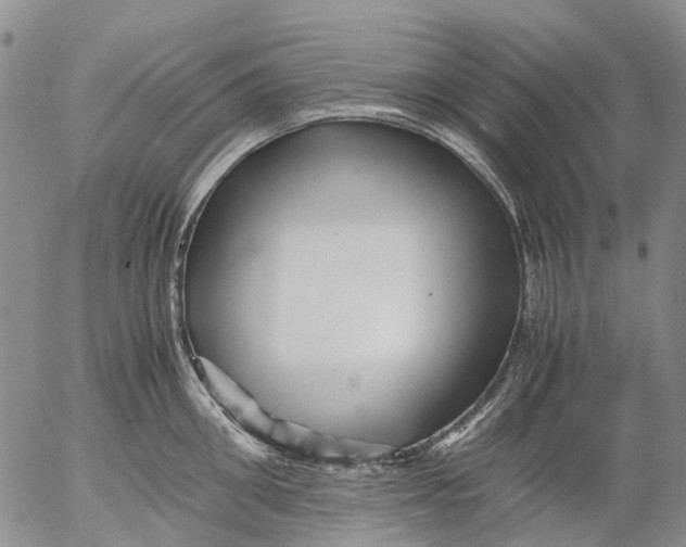 X0000053050906200508011844