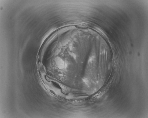 X0000053050907200508011844