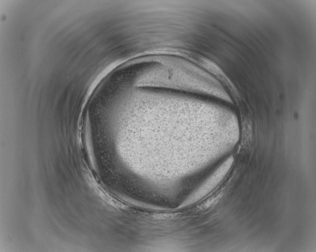 X0000053050908200508011844