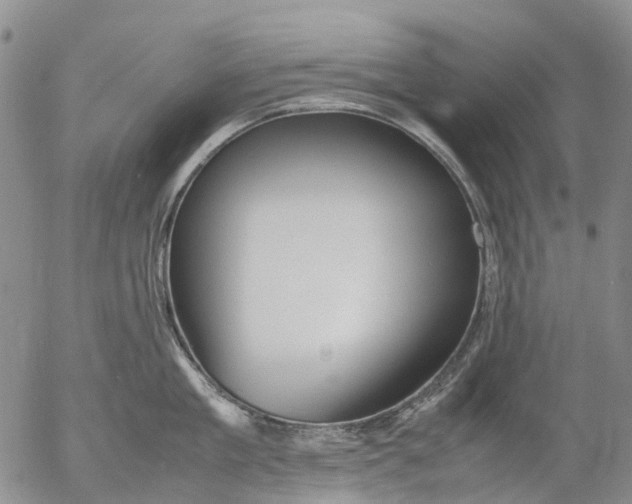 X0000053050909200508011844