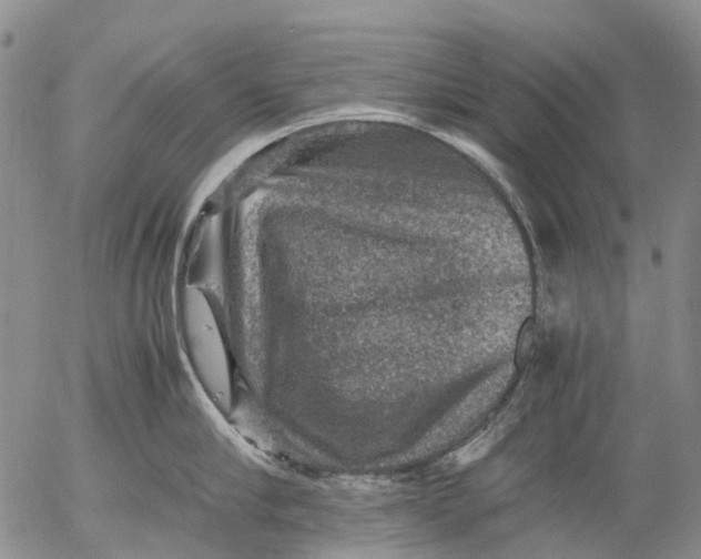 X0000053050910200508011844