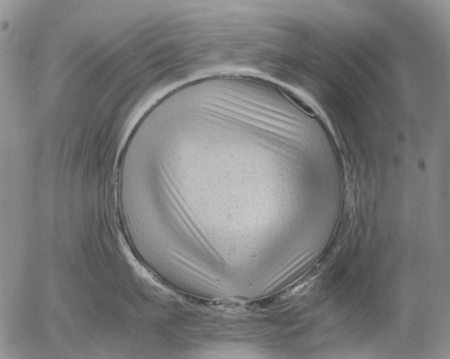 X0000053050911200508011844