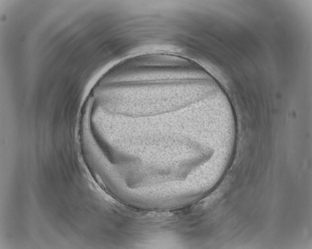 X0000053050912200508011844