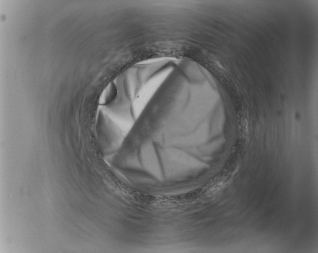 X0000053050913200508011844