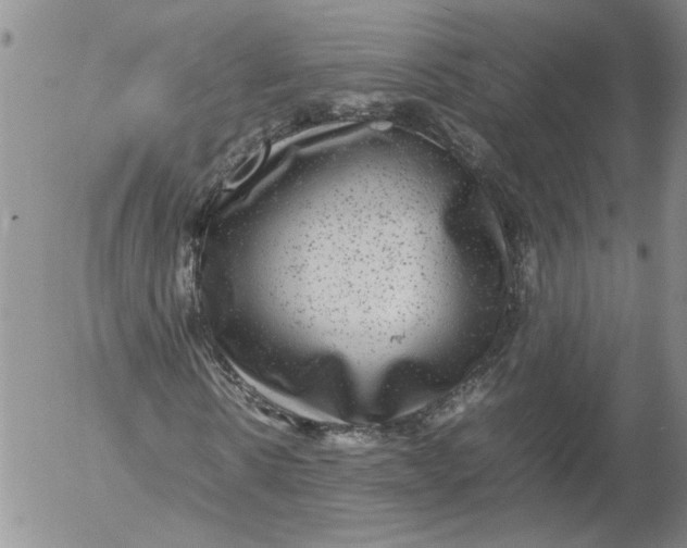 X0000053050914200508011844