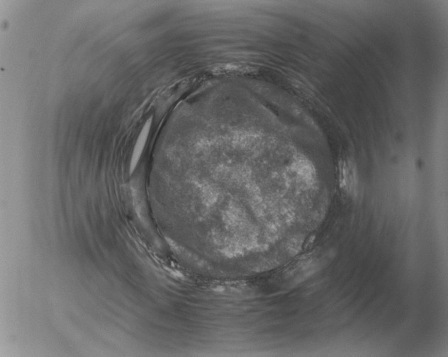 X0000053050915200508011844