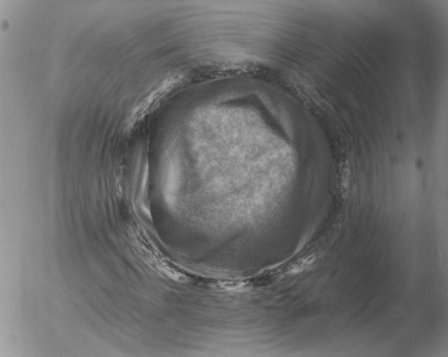 X0000053050916200508011844