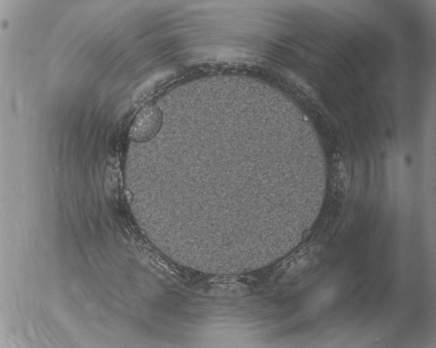 X0000053050918200508011844