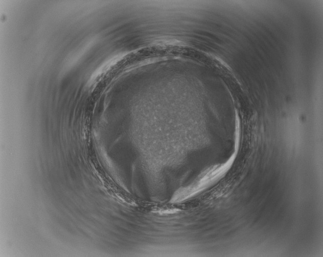 X0000053050919200508011844