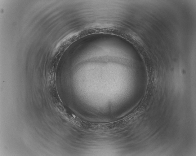 X0000053050920200508011844