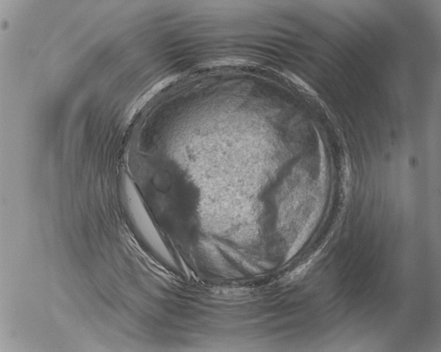 X0000053050921200508011844