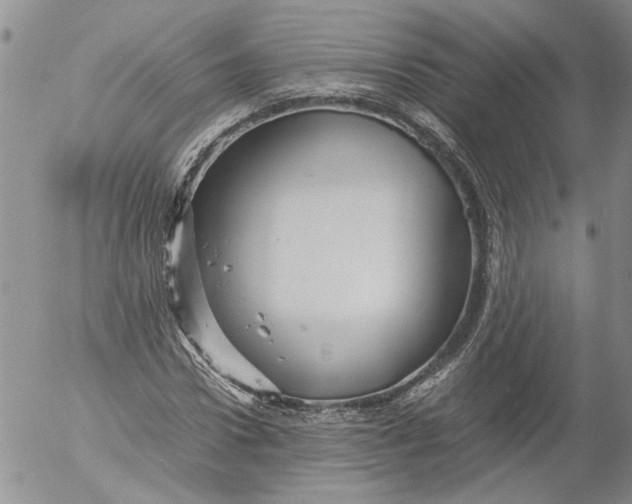 X0000053050922200508011844