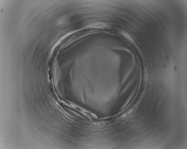 X0000053050923200508011844