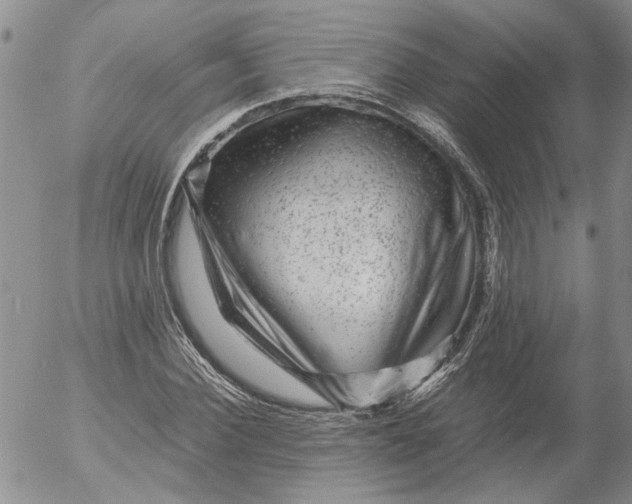 X0000053050924200508011844