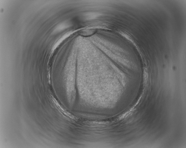 X0000053050925200508011844