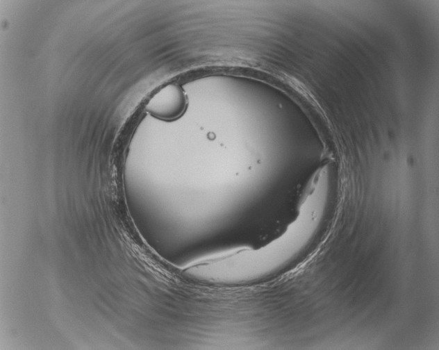 X0000053050926200508011844