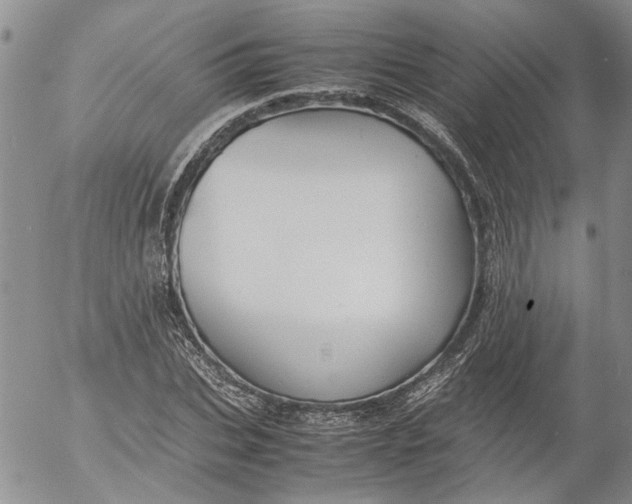 X0000053050927200508011844