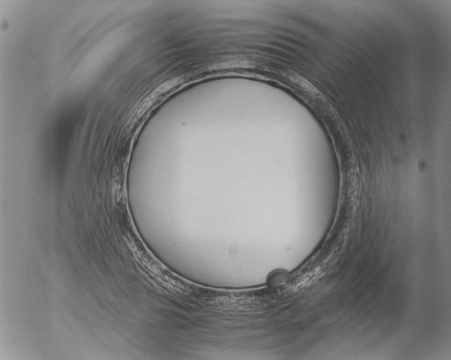 X0000053050929200508011844