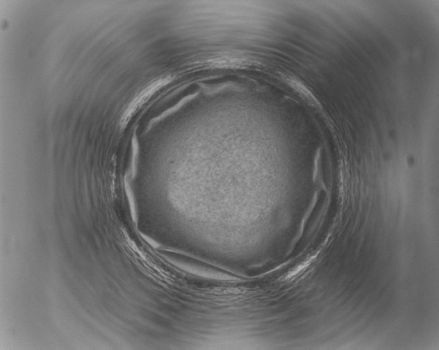 X0000053050930200508011844