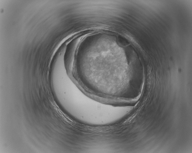 X0000053050932200508011844