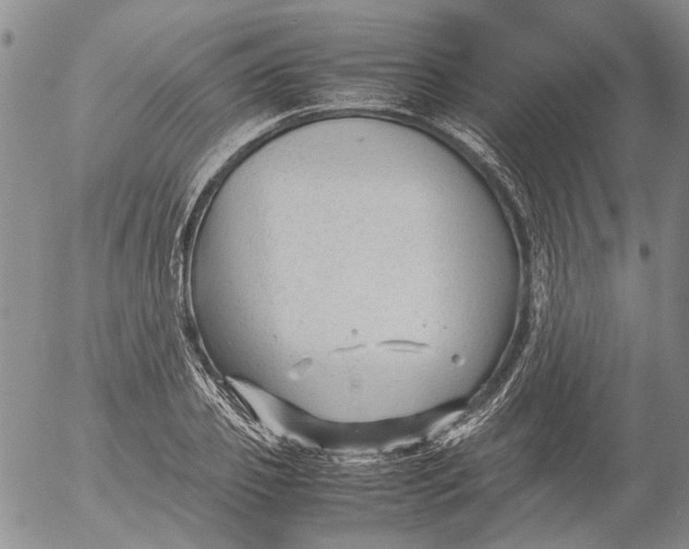 X0000053050933200508011844