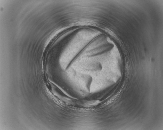 X0000053050934200508011844