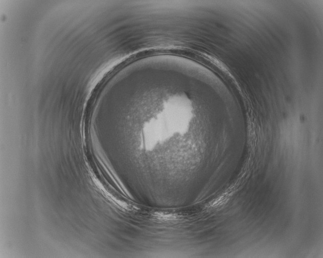 X0000053050935200508011844