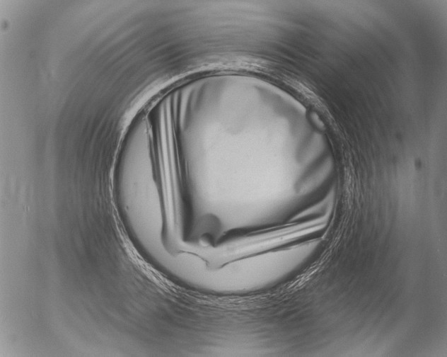 X0000053050936200508011844