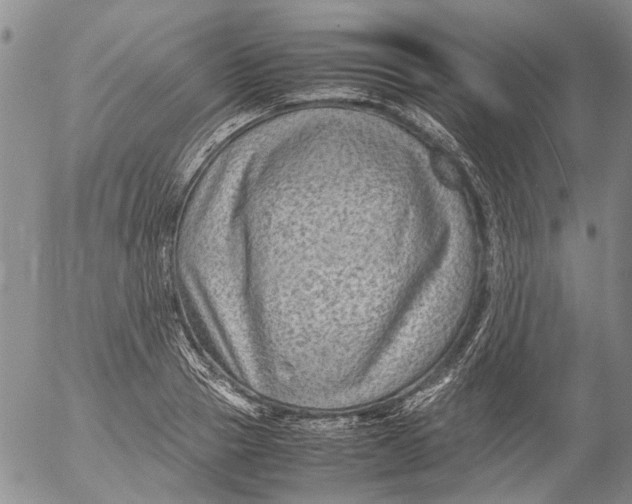 X0000053050937200508011844