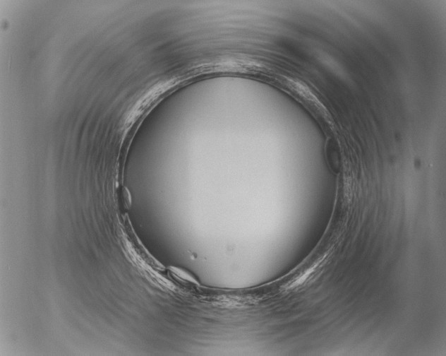 X0000053050938200508011844