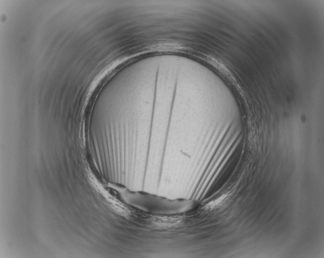 X0000053050939200508011844