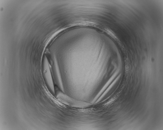 X0000053050940200508011844