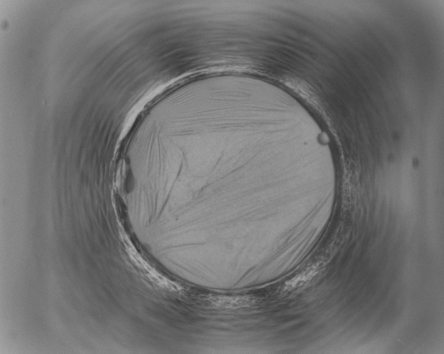 X0000053050941200508011844