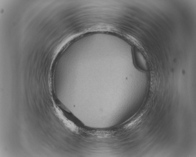 X0000053050942200508011844