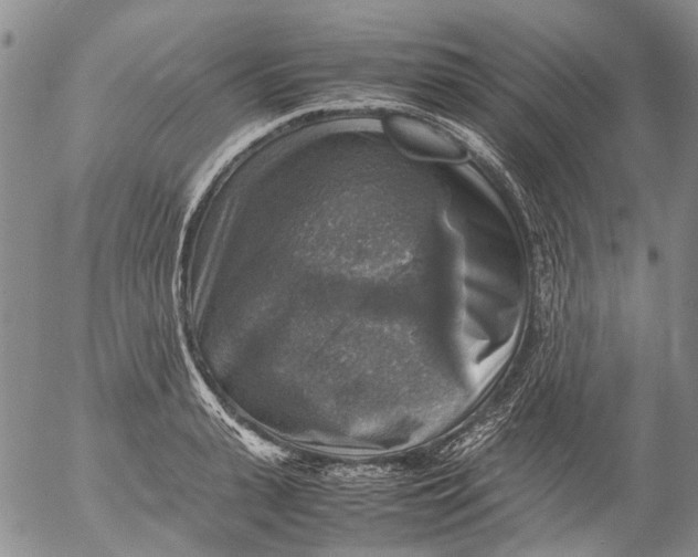 X0000053050943200508011844