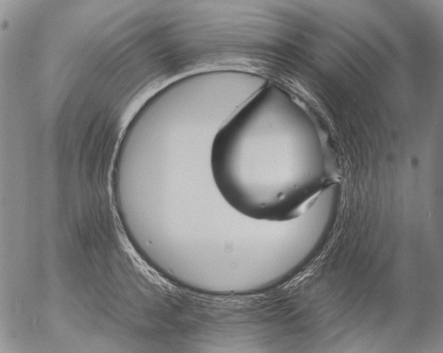 X0000053050944200508011844