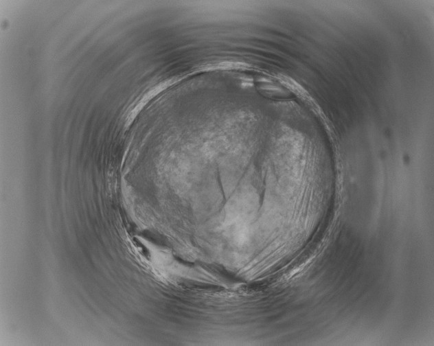 X0000053050945200508011844