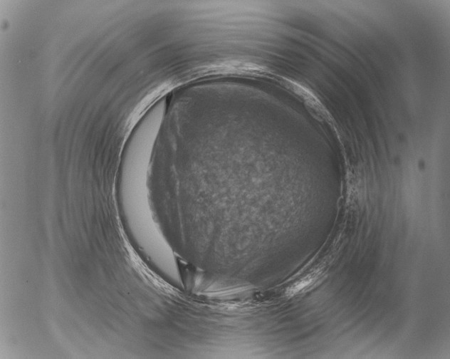 X0000053050946200508011844