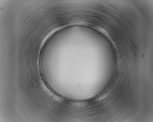 X0000053050947200508011844