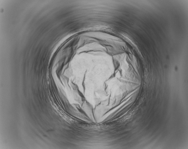 X0000053050948200508011844