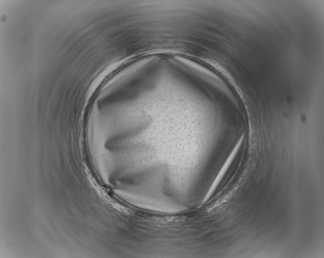 X0000053050949200508011844