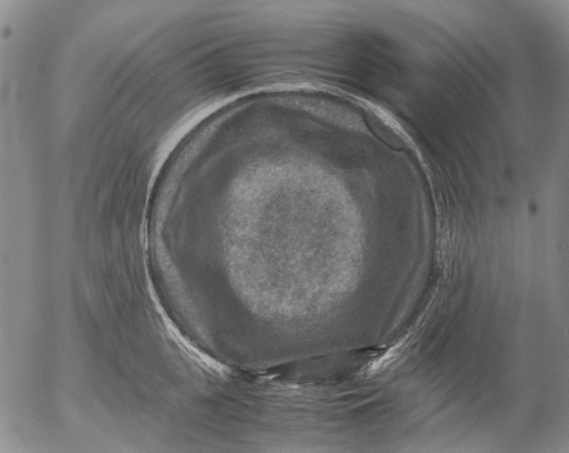 X0000053050951200508011844