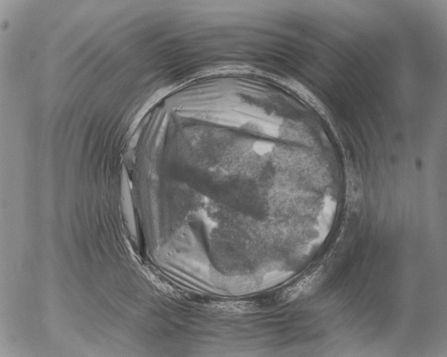 X0000053050953200508011844