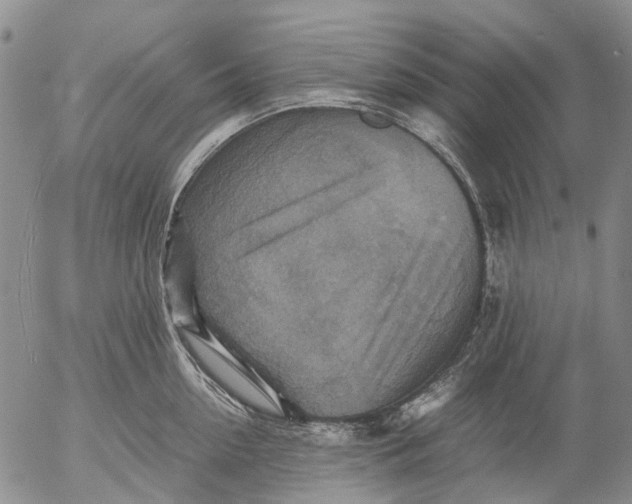 X0000053050954200508011844