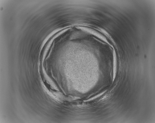 X0000053050955200508011844