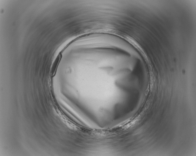 X0000053050956200508011844