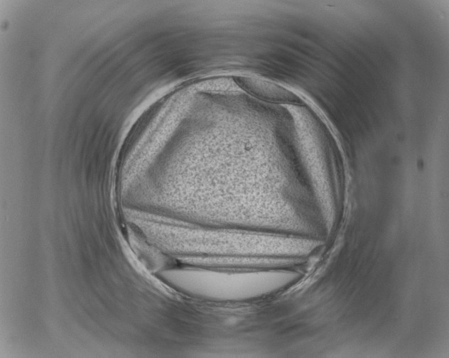 X0000053050957200508011844