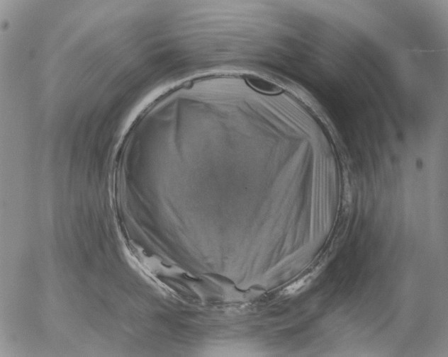 X0000053050958200508011844