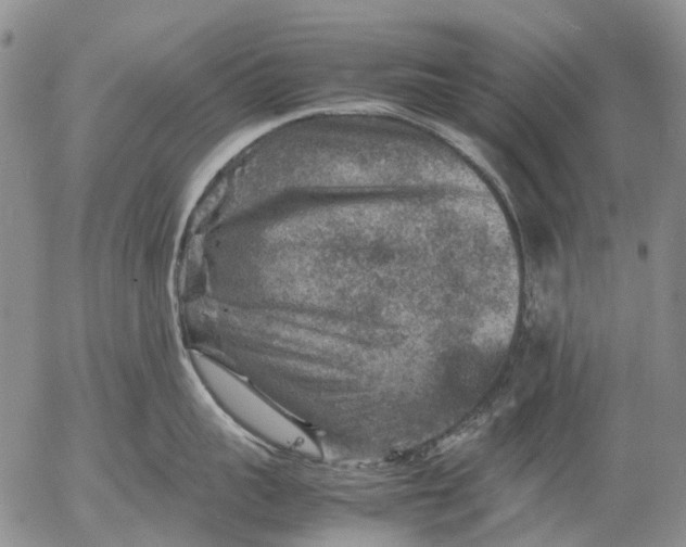 X0000053050959200508011844